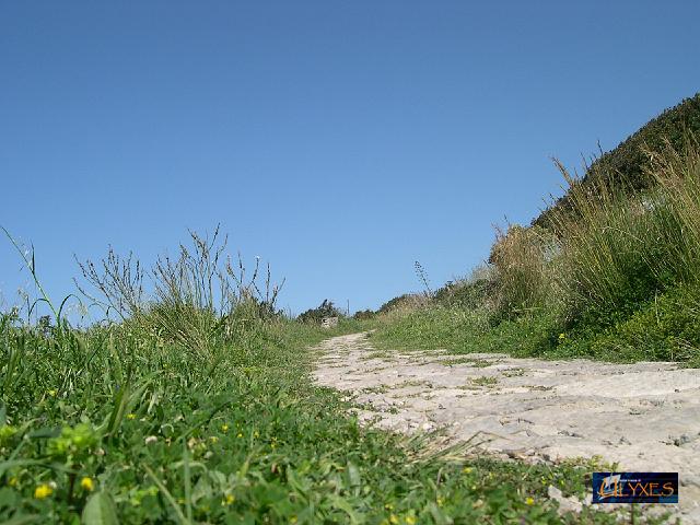 la via minerva.JPG